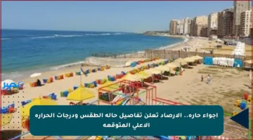 أجواء حارة.. الأرصاد تعلن تفاصيل حالة الطقس ودرجات الحرارة الأعلى المتوقعة